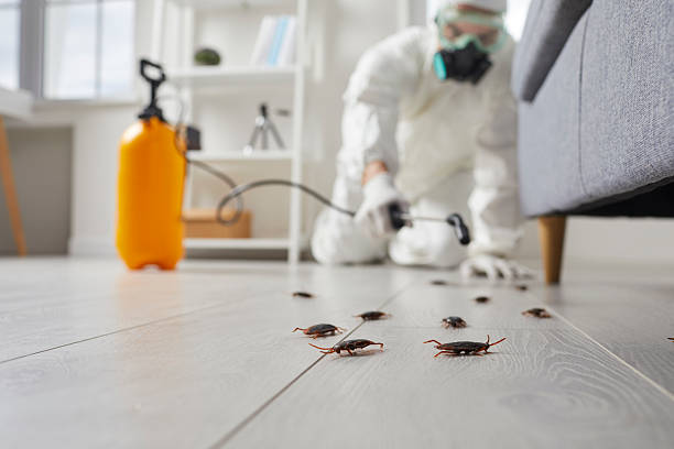 Post-Treatment Bed Bug Interceptor Monitoring in Planada