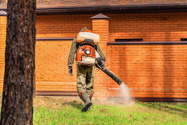 Bed Bug Clearance Verification and Documentation in Planada
